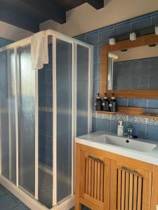 a bathroom with a sink and a shower at Casona Asturiana Casa Delfa in Cervera