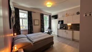 een slaapkamer met een groot bed en een keuken bij Ignaz 28 Apartment#2 in Salzburg