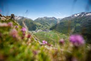 Landskap nær leiligheten