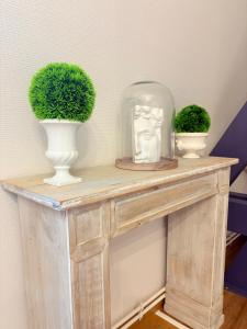two plants in vases on a wooden table at Le Manoir 1977 in Jaunay-Clan