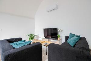 a living room with two chairs and a television at Le Nordet Vert in Albi