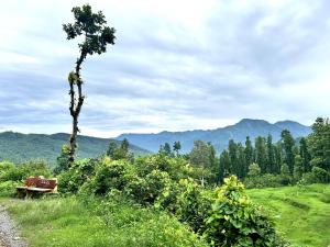 a bench sitting on the side of a dirt road at Ekantam Resort in Kāta Patthar