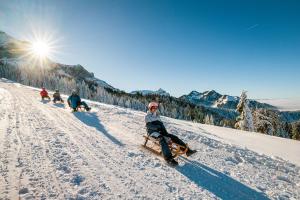 Hosté ubytování SimpleVibes I Lucerne I Andermatt I Nature I Family