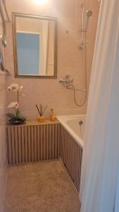 a bathroom with a tub and a shower with a mirror at Apartamentai su balkonu in Klaipėda +14 photos