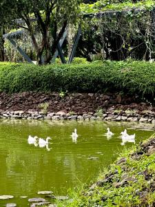 Imagem da galeria de Pico De Loro 2BR em Nasugbu mais 28 fotografias