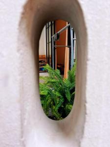 a circular hole in a wall with a plant at Ng house in Hanoi