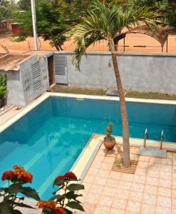 a blue swimming pool with a palm tree next to it at B & B Le Nomade in Ouagadougou