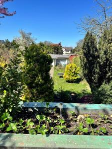 Сад в House of Constance