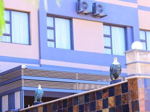 Fotografie z fotogalerie ubytování The Empire Hotel v destinaci Vendaland