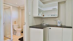 a bathroom with a sink and a toilet in a room at BluCabana 500m from Main Beach in Bettyʼs Bay +23 photos
