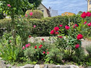 Zahrada ubytování Apartment LoC Friedrichshafen