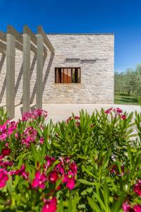 Galeriebild der Unterkunft Papafigo Camping in Vodnjan