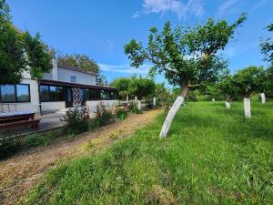 a tree in the grass next to a building at La Livadă in Vama Veche +7 photos