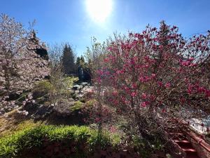 Giardino di Luxor
