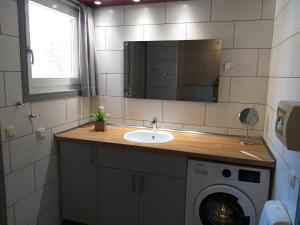 Un baño con lavabo y lavadora. en Wildgans 136, en Mirow 25 fotos más