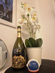 Fotografie z fotogalerie ubytování Gite Urbain - Asclepios v destinaci Épernay