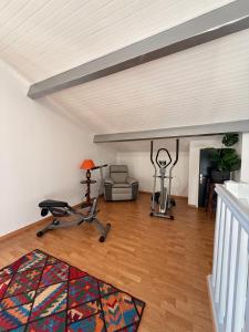 Fitness centrum a/nebo fitness zařízení v ubytování Gîte chez PAT + 15 fotografií