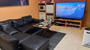 TV a/nebo společenská místnost v ubytování ホテル ひこうせん