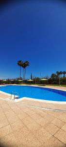 ein großer blauer Pool mit Bäumen im Hintergrund in der Unterkunft Costa Caribe II Nº 1028 in Oropesa del Mar