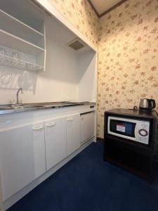 Kuchyň nebo kuchyňský kout v ubytování Spa Resort LiVEMAX