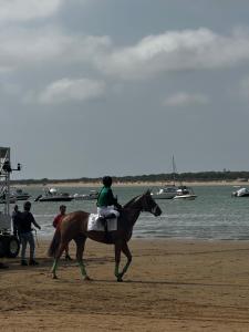 Hosté ubytování La Casita de las Piletas + 4 fotografie
