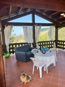 a dog sitting on a patio with a table and chairs at Il cucco in Roccascalegna