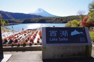 別荘の近くで見られる自然の景観