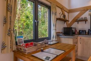 Η κουζίνα ή μικρή κουζίνα στο Foxes Hollow - Woodland Cabin - Alfriston +5 φωτογραφίες