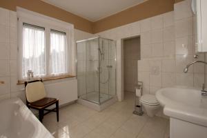 een badkamer met een douche, een toilet en een wastafel bij Roßtrappensicht in Thale
