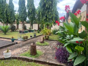 a garden with a bunch of plants and flowers at Kivuli Inn in Moshi