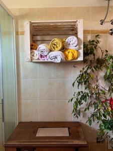 Fotografie z fotogalerie ubytování Test v destinaci Koper