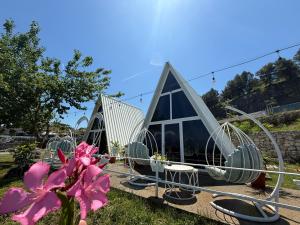 Alex's House Shirokë外面的花园
