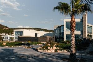 a palm tree in front of a house at Horizon Luxury Seafront Villa in Vaia