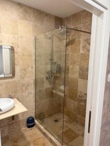 a shower with a glass door in a bathroom at Pensiunea Raya in Dubova