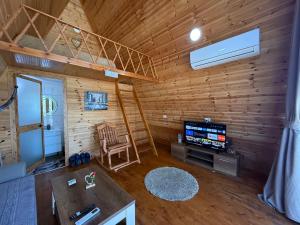 Alex's House Shirokë的电视和/或娱乐中心