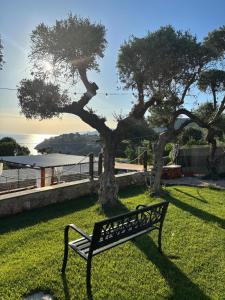 a bench sitting in the grass next to two trees at Acquamarina in Gaeta
