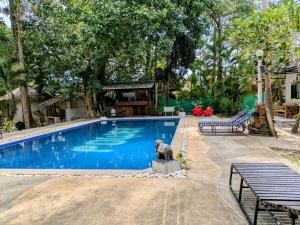 a swimming pool with a statue of a bear next to it at Dreamy beachfront bungalow in Baan Tai