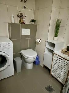 Kúpeľňa v ubytovaní Apartman Bubli + 28 fotografií