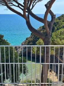 a white fence next to a tree and the ocean at Acquamarina in Gaeta