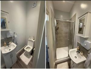 two pictures of a bathroom with a toilet and a sink at APARTMENT 1, Westmount in Wellington