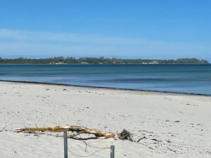 a branch on a beach with the ocean in the background at Bungalow am Strand in Altenkirchen