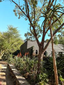 Fotografie z fotogalerie ubytování Ruby Rose v destinaci Riebeek-Wes