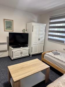 Televízia a/alebo spoločenská miestnosť v ubytovaní ApHEARTments