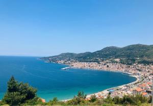 a view of a beach with a city and the ocean at Hera's Hideaway in Samos