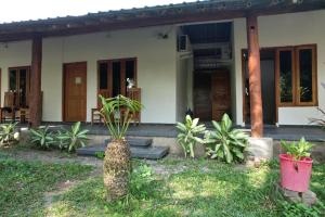 a house with plants in front of it at Coconut Scar Reef Homestay in Maluk