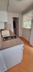 Kuchyň nebo kuchyňský kout v ubytování LiMa Apartman Ház