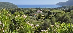 a house on a hill with trees and flowers at Villa Conti Residence in Lacona