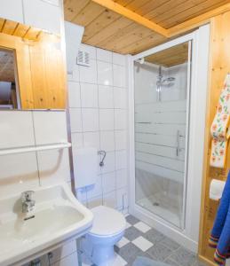 a bathroom with a shower and a toilet and a sink at Bergbauernhof Untermoos in Taxenbach