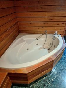 a bath tub in a room with a wooden wall at L'Appart' du Château - Annecy 15 min in Alby