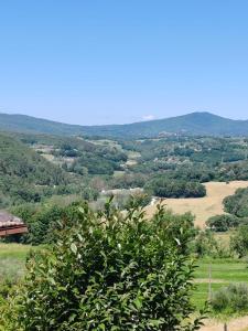 a view from the top of a hill with a tree at La Casina in Amelia